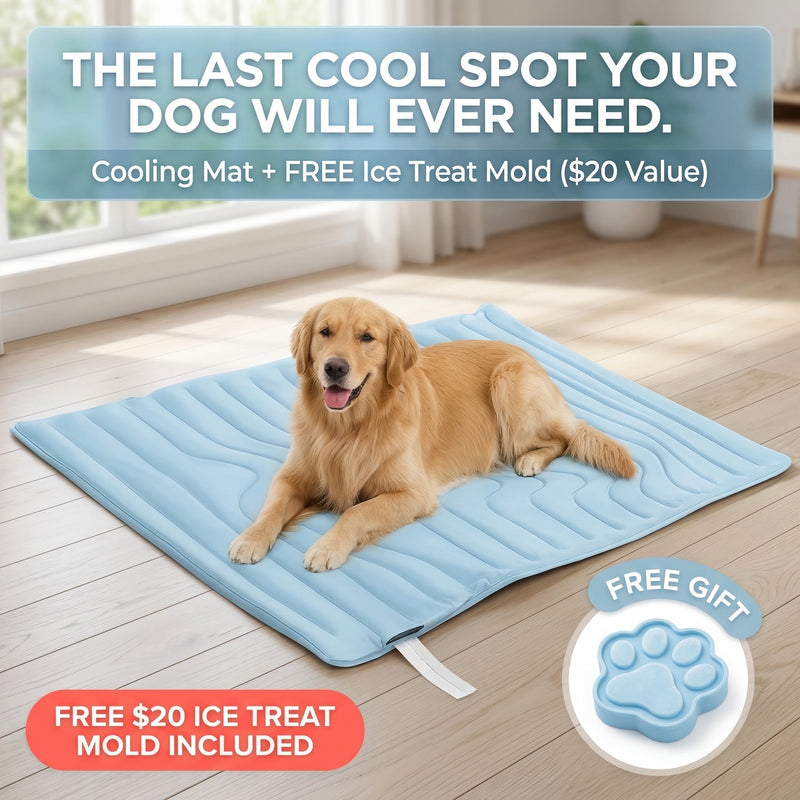 The Cooling Mat Your Pet Will Fight You For